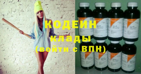молекула духа Киреевск
