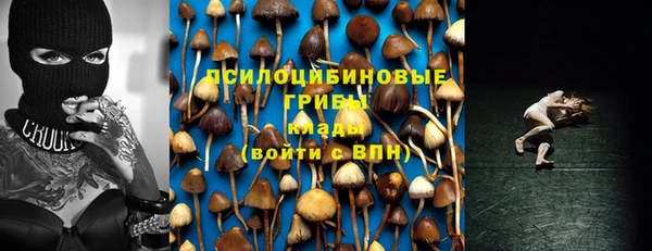 молекула духа Киреевск