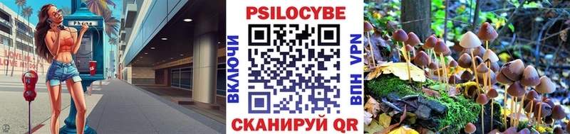 Псилоцибиновые грибы Psilocybe  Купить  Окуловка 
